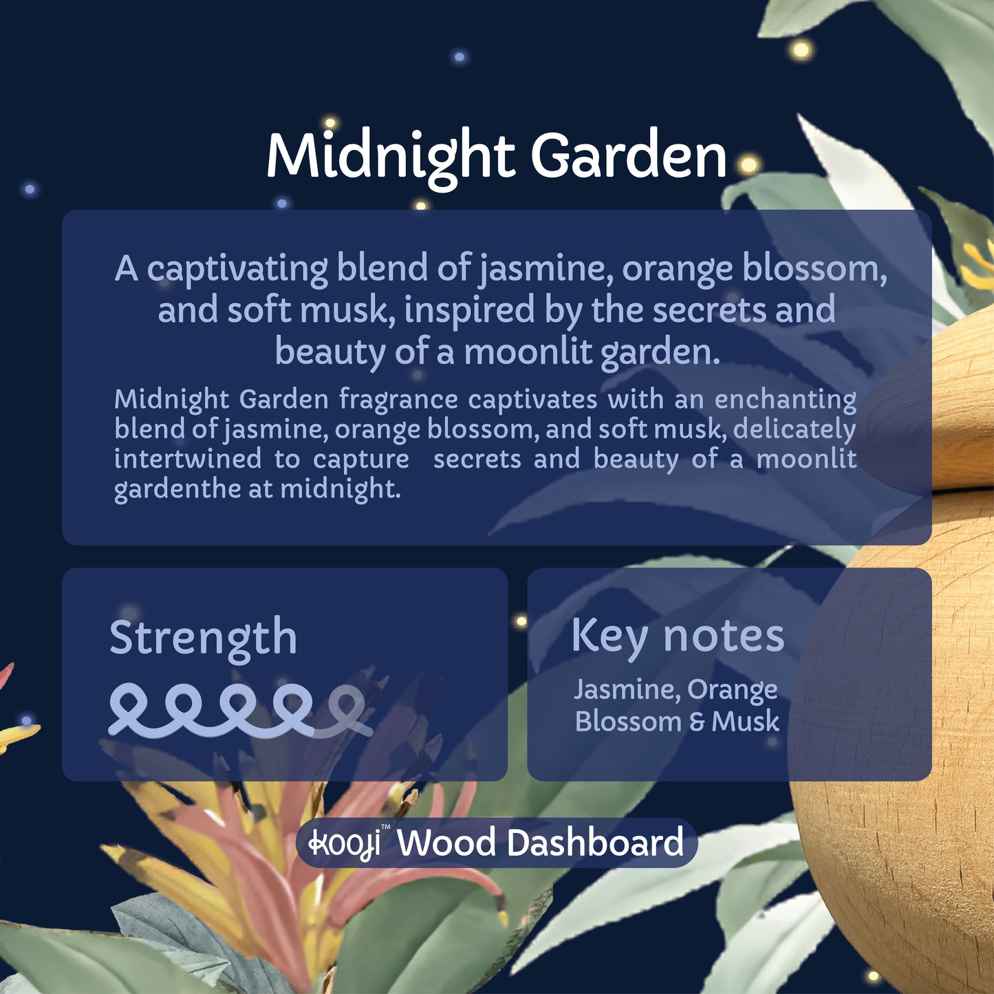 Midnight Garden