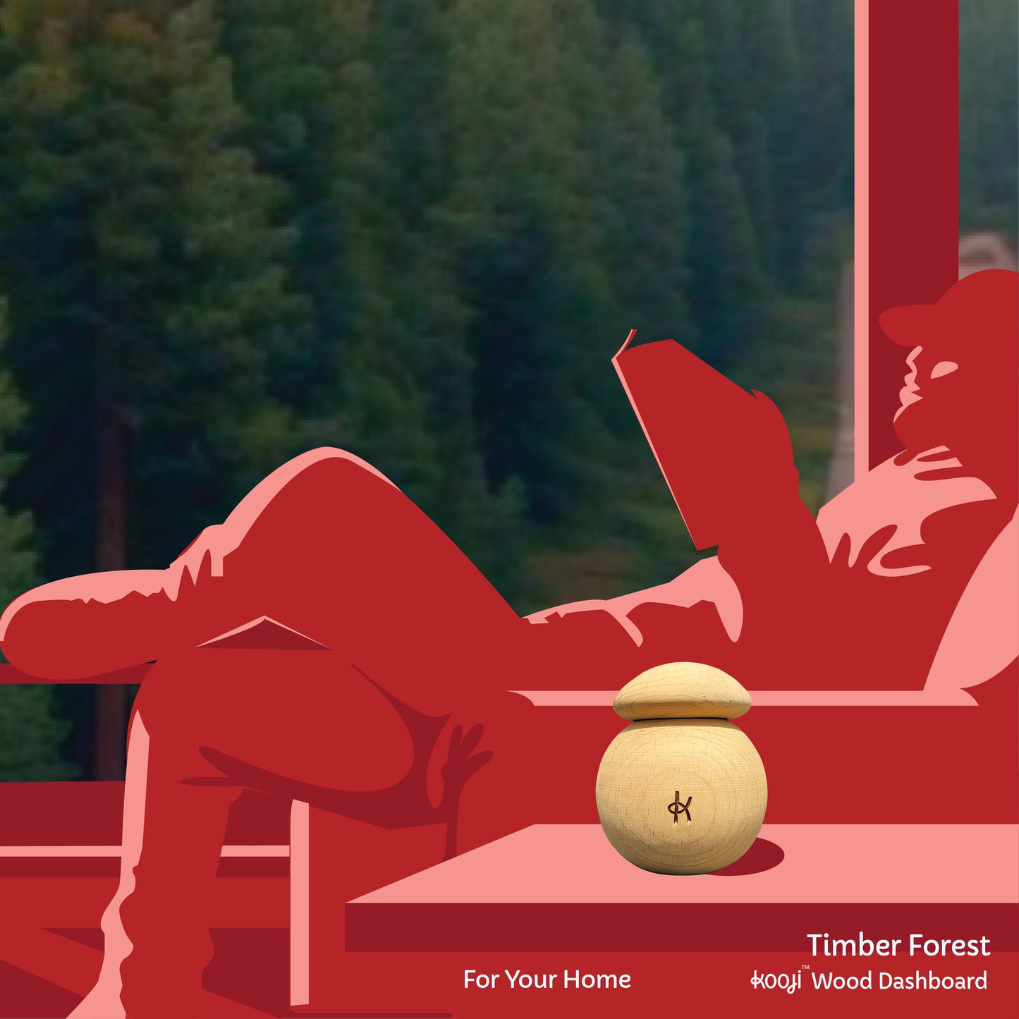 Timber Forest