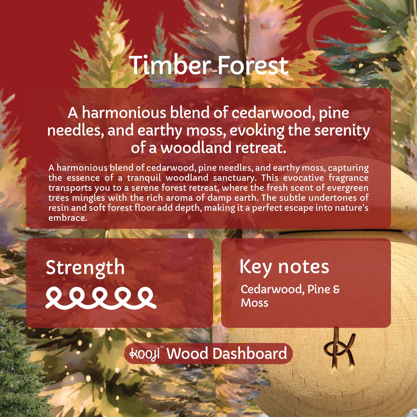 Timber Forest